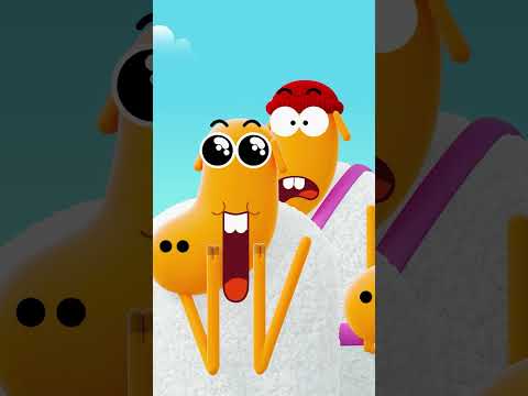 KARATE SHEEP THE CUTEST Now Available On Netflix Shorts