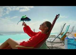 Israel Canada RAINBOW ישראל קנדה