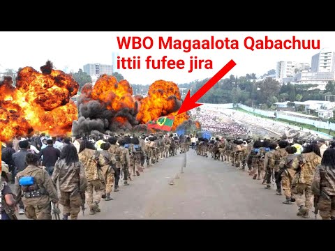 ODUU Hatattamaa WBO Oromiyaa Harka 60 Dhunfachuu Lola Guddaa Moha Oromo