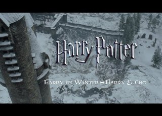  Harry In Winter Harry Cho Harry Potter And The Goblet Of Fire Complete Score Film Mix