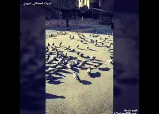 كون ياخذني الهوى