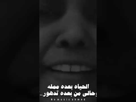 روح ياطير وقله قلبي فيه مليون عله متابعه ولايك واكسبلور اكسبلور السعوديه