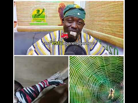 Dagbanli Puuni Di Yi Ti Niŋ Ka Kpatindara Zinzana Ka Di Gbaai A Di Wuhiya Ni Lohi N Lori A Maa Ka