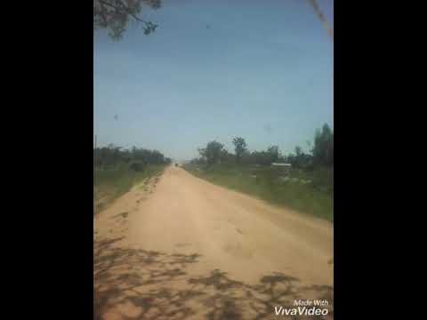 King Msukuma Faru John