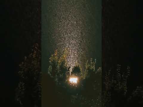 و الل ه ي ر يد أ ن ي ت وب ع ل ي ك م Quran تلاوة خاشعة قرآن محمد اللحيدان ماهر المعيقلي