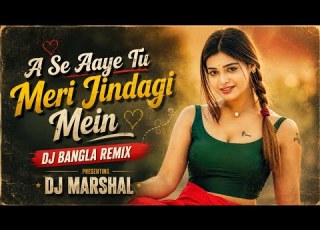 A Se Aaye Tu Meri Jindagi Mein DJ HINDI Viral REMIX Love Remix Song 2026 DJ MARSHAL