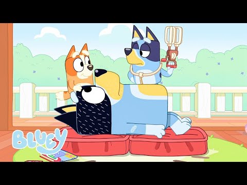 Bluey In Hindi ड क टर Bluey और नर स Bingo Hospital Hindi Cartoon For Kids