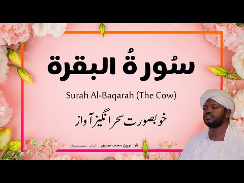 2 Surah Al Baqarah س ورة البقرۃ Beautiful Quran Recitation By Qari Noreen Muhammad Siddique