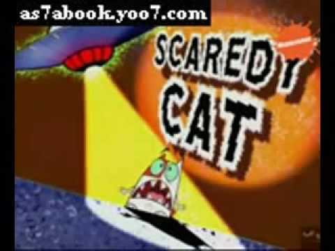 كرتون خربشات حلقه القط الجبان