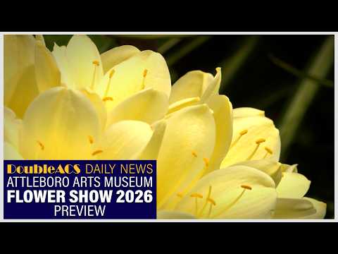 Flower Show 2026 Preview