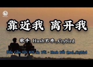  Hush不乖 Crybird 靠近我 离开我 抱紧我 伤害我 你走的很洒脱 Đến Gần Tôi Rời Xa Tôi Hush Bất Quai Lyrics 2026