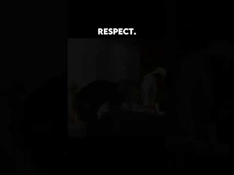 حبیب احترام لحظات احترام خبیب نورماگومدوف مسلمان اسلام حبیب احترام لحظات احترام خبیب نورماگومدوف مسلمان اسلام