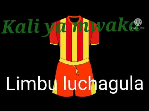 Limbu Luchagula Ujumbe Wa Ushauli 2022