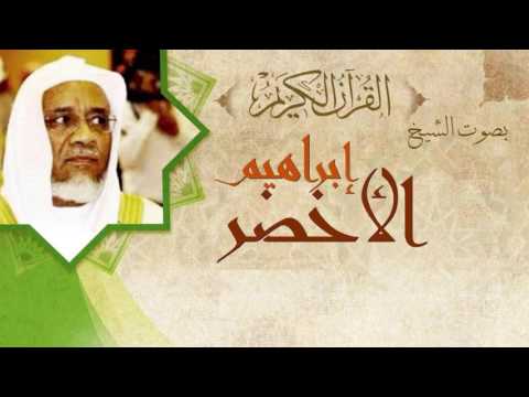 القران الكريم إبراهيم الأخضر الصفحة 230