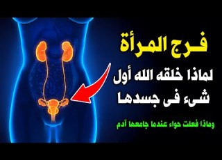  لماذا خلق الله فـ ـرج المرأة أول شئ فيها وماذا قالت حواء عندما جامعها سيدنا آدم أول مرة ستنصدم
