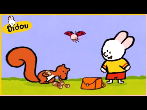 Didou Dessine Moi Un écureuil Didou 40 Compilation