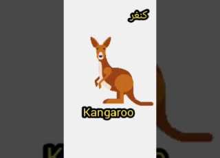 نطق كلمة كنغر باللغة الإنجليزية نطق كلمة Kangaroo انطقها صح English Learnenglish
