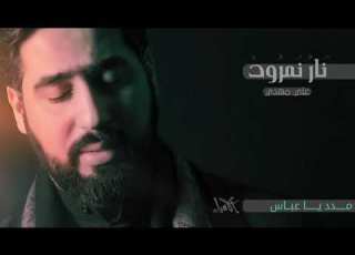  مدد يا عباس الرادود علي مهدي