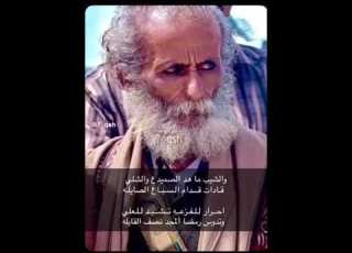  والشيب ماهد الصميدع والشلي