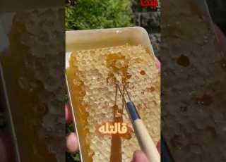 بس مشبعتش الي لما اكلتهم