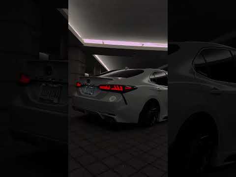 شلون ذاك الحب نساء