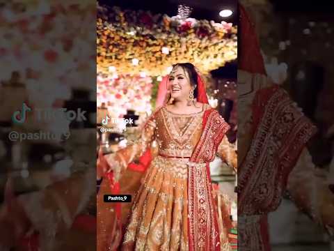 Laila Dera Khaista Da Paahocomedyforfunnnnn Laila Dera Khaista Da Paahocomedyforfunnnnn