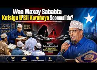  Waa Maxay Sababta Kufsigu U Sii Kordhayo Soomaalida Dr Shibli