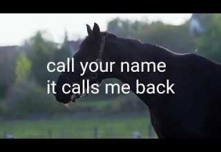 I Will Always Return Music Video