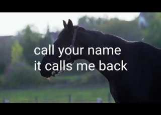  I Will Always Return Music Video