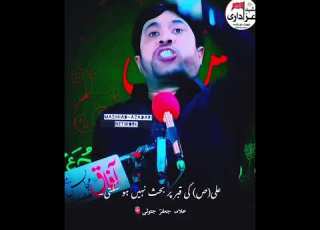  Mola Ali Ki Qabar Py Sawal Allama Jafar Jatoi Azadari Status Unfrezzmyaccount Short Shorts Fyp