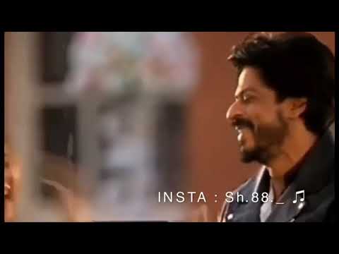 غنوا وحبوا وردة