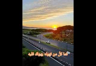 إذا المرئ لا يرعاك إلا تكلفا