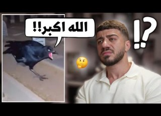 حيوانات تتكلم بالمقابر