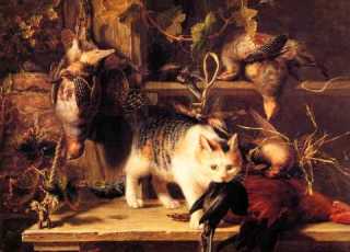 Alessandro Marcello Concerto For Oboe And Orchestra