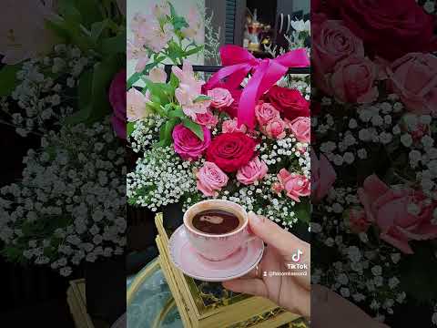 الصبوحه لو تشرق او تغرب