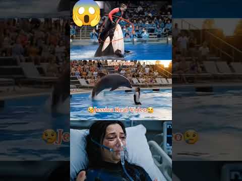 جيسيكا الدولفين الحقيقي تظهر Jessica Dolphin Real Appears