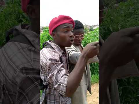 Tumegunduwa Kumbe Ndo Mlivyoo