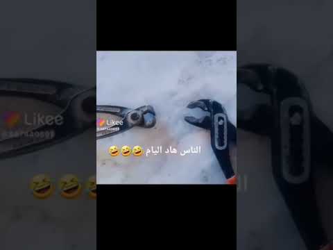 ههههههه نغمات البرد