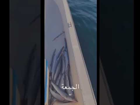 ابطال الجمهورية