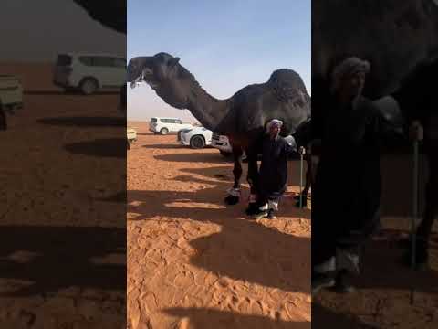 ماشاءالله تبارك الرحمن ماشاءالله المالك ابن خجيم المري