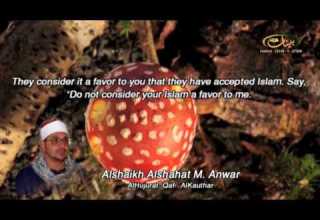 الشحات محمد أنور ـ سورة الحجرات وق والكوثر