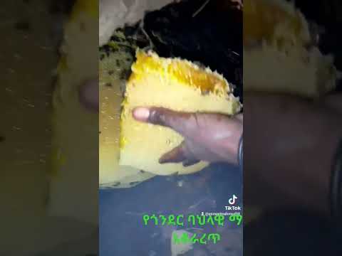 Seifu On Ebs Mensurjemal Amir Hussen Muaz Habib Donkey Tube