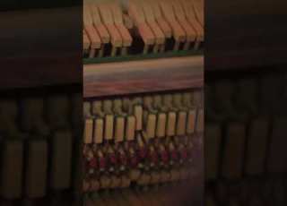 Pianista Compositore Domenico Quaceci Live In Studio La Strada Vuota Piano Music Pianomusic