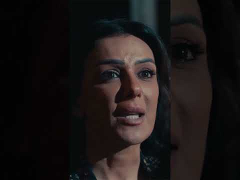 أنتي عايزة تمــ وتي أخويا عمرو سعد سيد الناس