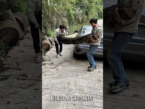 Spreading Kindness Kindness