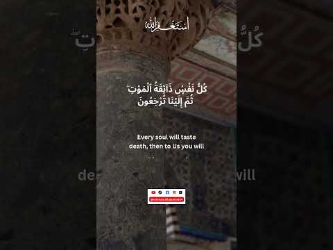 کل نفس ذائقة الموت Shorts Shortsvideo Youtubeshorts Trending Fyp