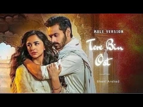 Tere Bin OST Lyrics Urdu English Male Version Shani Arshad