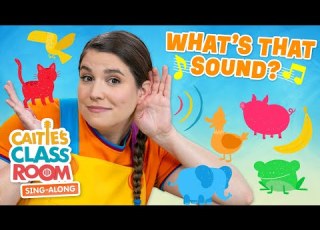  What S That Sound Caitie S Classroom Sing Along Show Fun Listening Songs For Kids