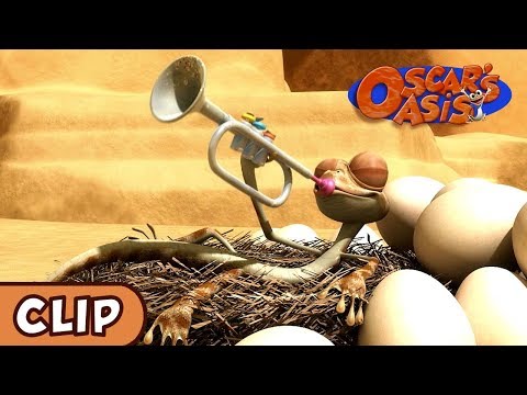 Oscar S Oasis Chicken Piper HQ Funny Cartoons