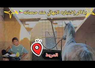 قرر يذاكر عند حصانه لقينا غرض لسعد ضايع له سنين سباق